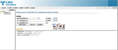 york cms 约克内容管理系统 试用体验版