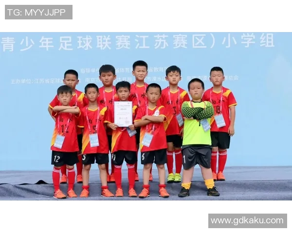 南京足球队在最新灵活性排名中夺冠引发热议的TOP10榜单分析