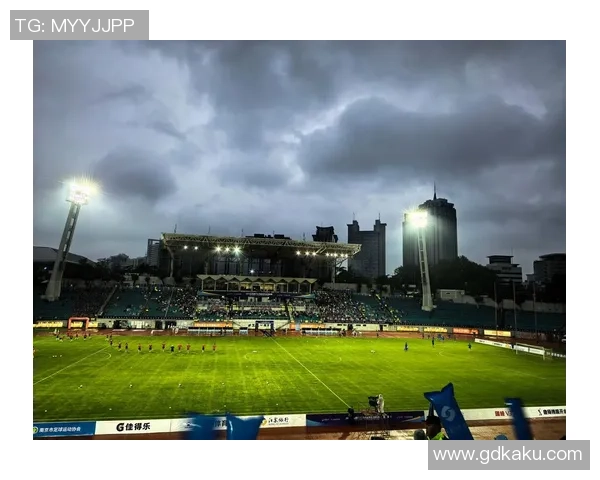 南京足球队运营分析：成败得失与未来发展方向探讨